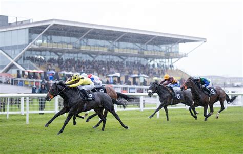 newbury race card friday.